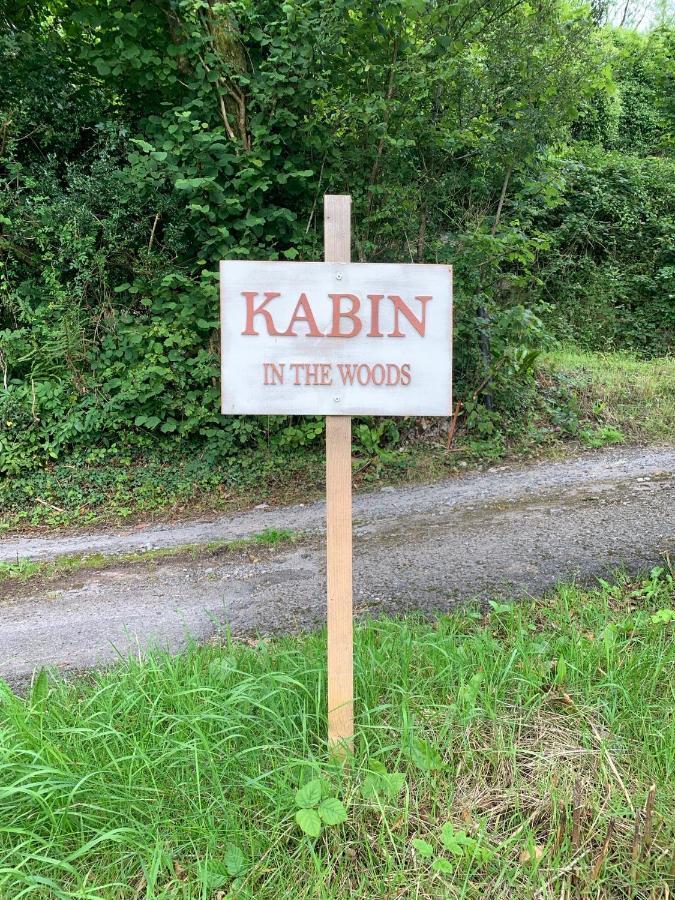 Kabin In The Woods Llandybie Esterno foto