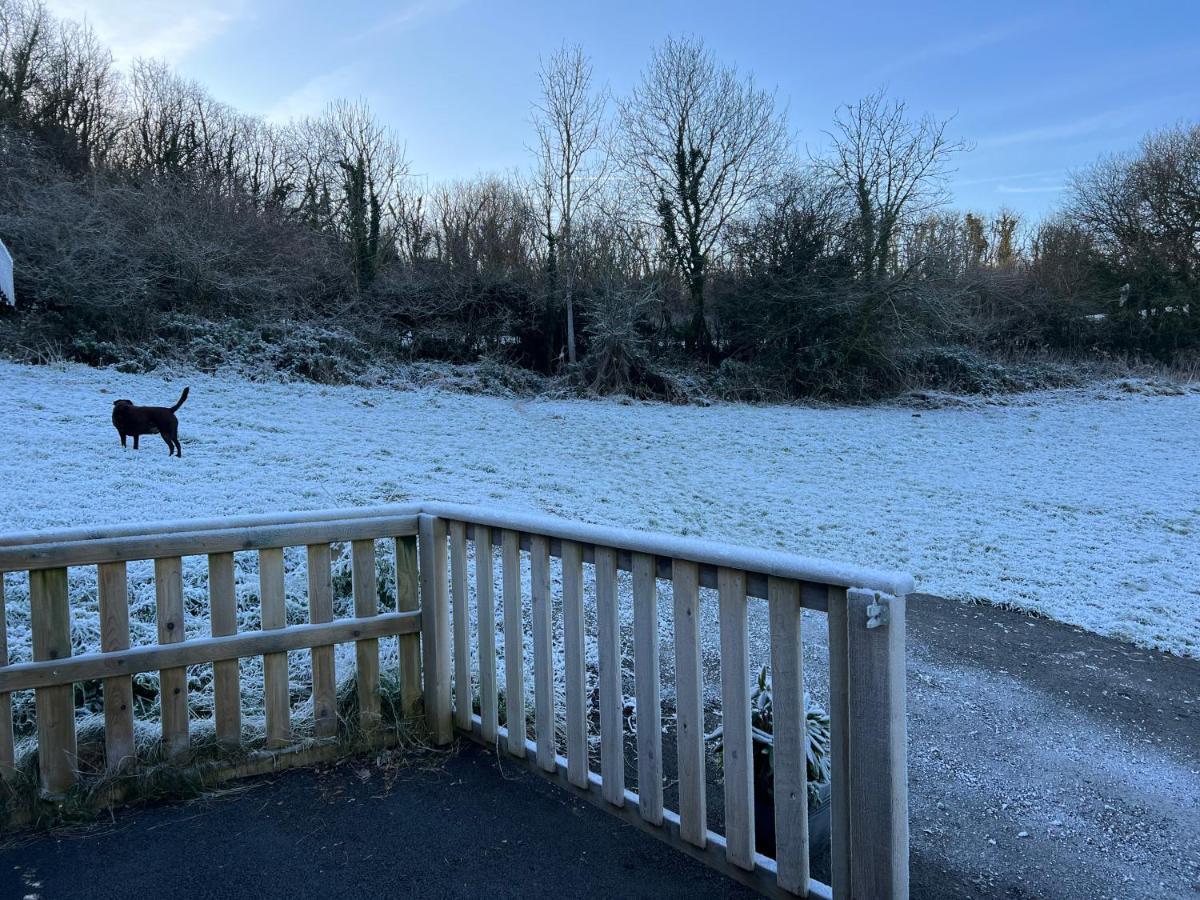 Kabin In The Woods Llandybie Esterno foto