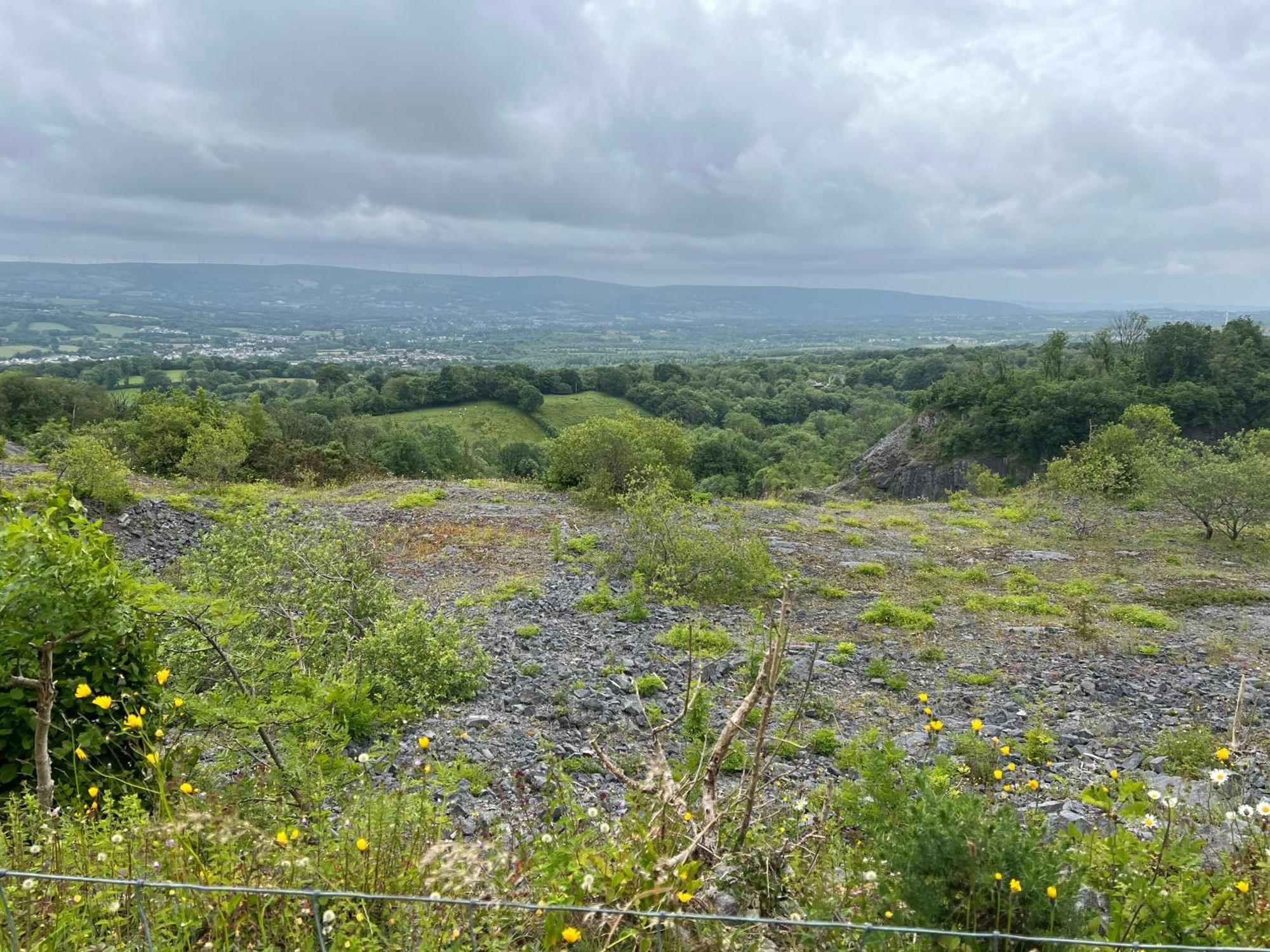 Kabin In The Woods Villa Llandybie Esterno foto