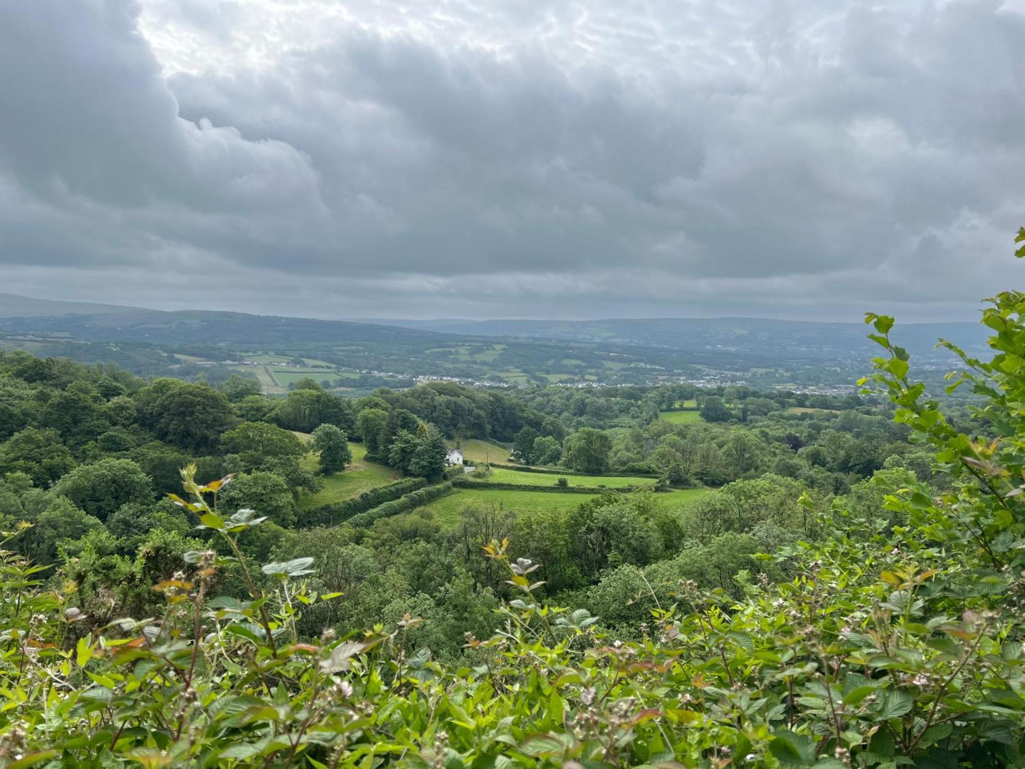 Kabin In The Woods Villa Llandybie Esterno foto