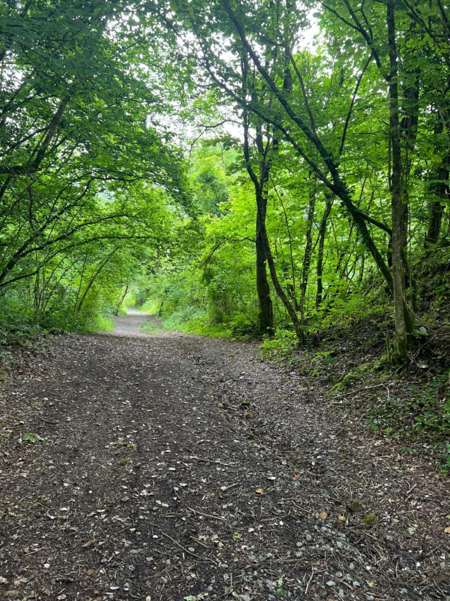 Kabin In The Woods Villa Llandybie Esterno foto